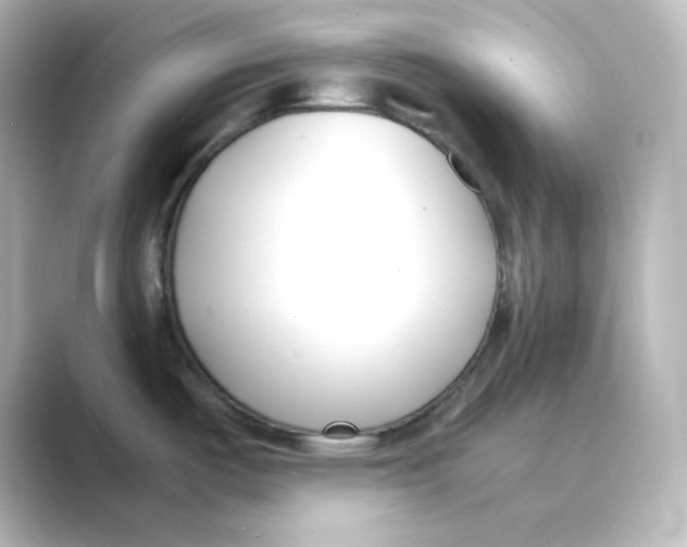 X0000088681487200706211900
