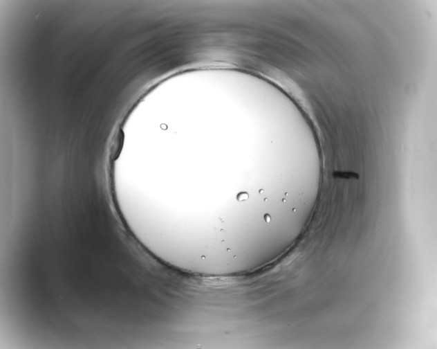 X0000088681488200706211900