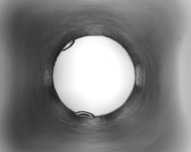 X0000088681491200706211859