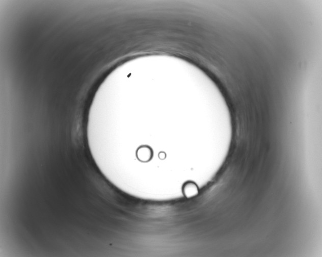 X0000088681498200706211859