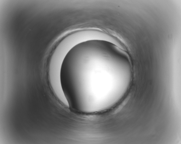 X0000088681502200706211859