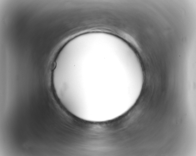 X0000088681504200706211859