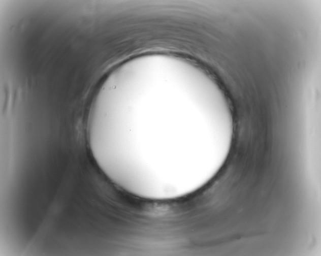 X0000088681505200706211859