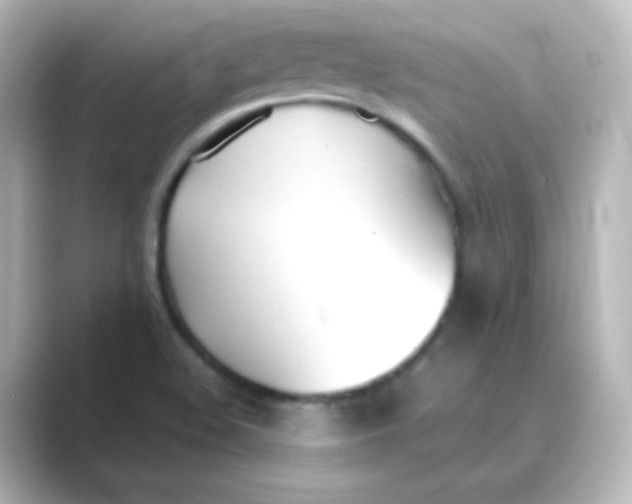 X0000088681508200706211859