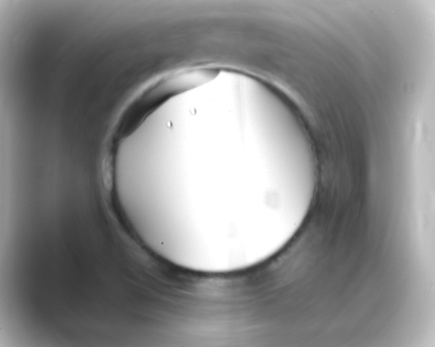 X0000088681510200706211859