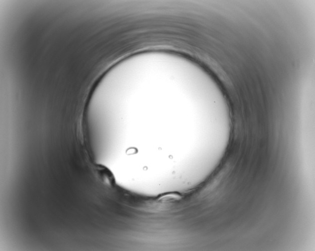 X0000088681513200706211900