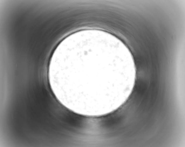X0000088681514200706211900