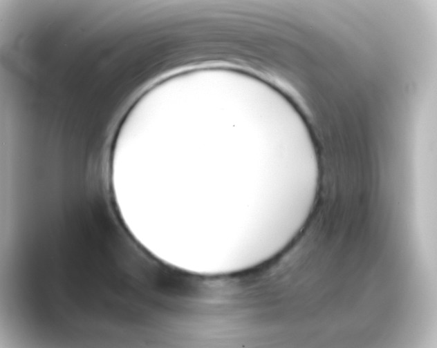 X0000088681516200706211900