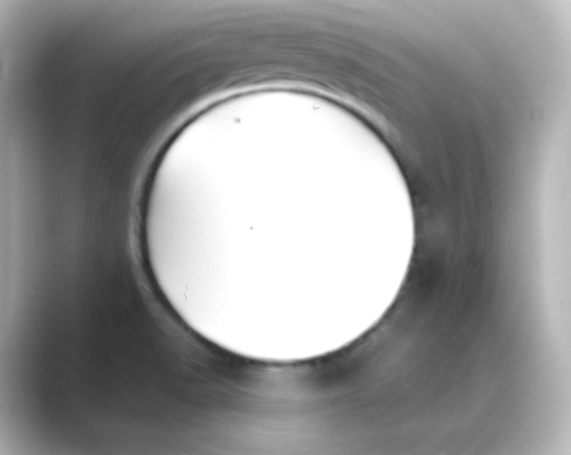 X0000088681518200706211900