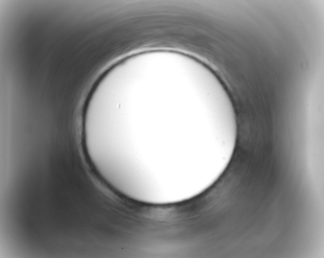 X0000088681519200706211900