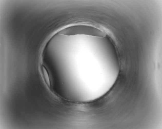 X0000088681520200706211900