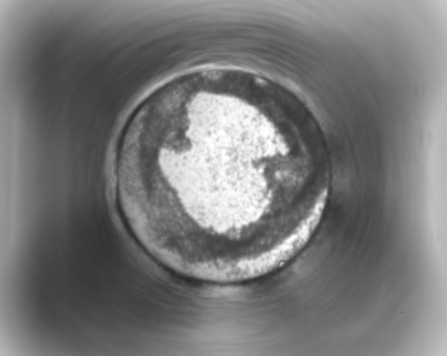 X0000088681522200706211900