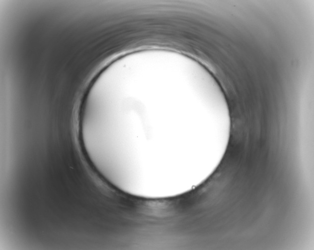 X0000088681523200706211900
