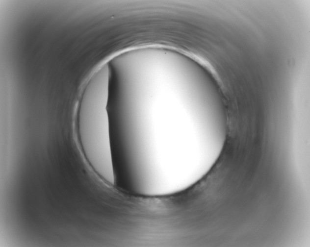 X0000088681524200706211900