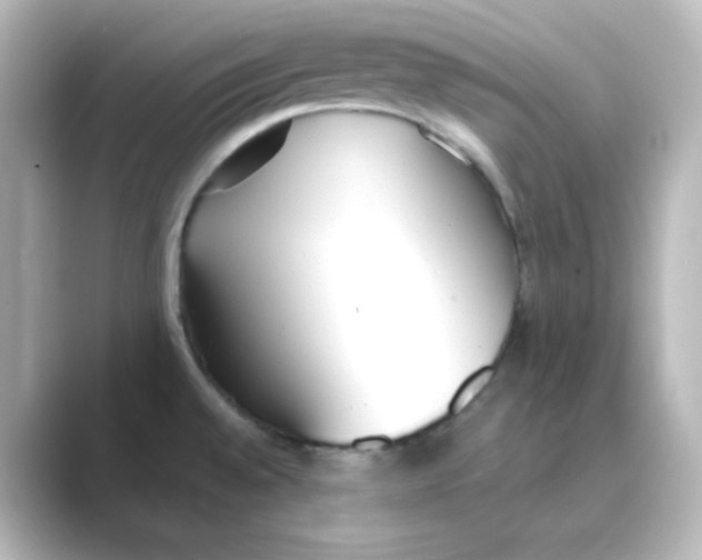X0000088681528200706211900
