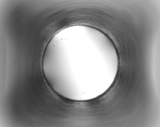 X0000088681529200706211900