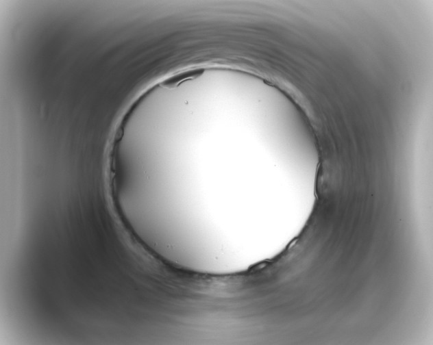 X0000088681530200706211900