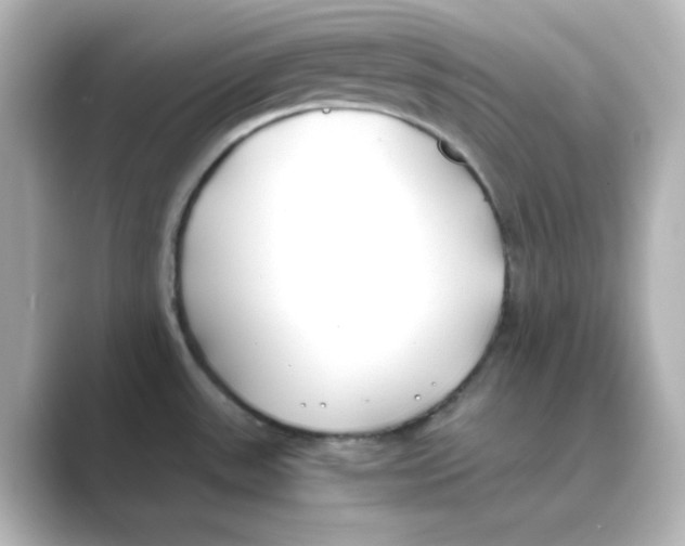 X0000088681531200706211900