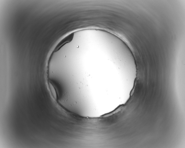 X0000088681532200706211900