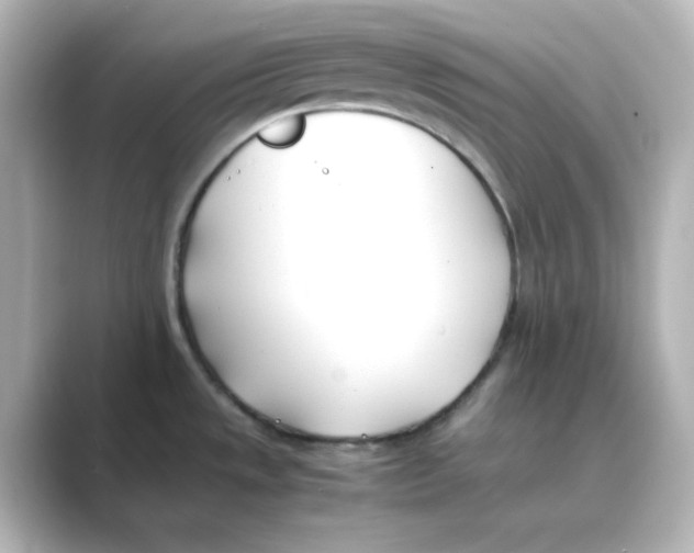 X0000088681533200706211900