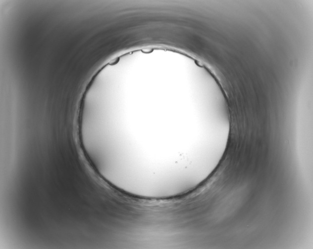 X0000088681534200706211900