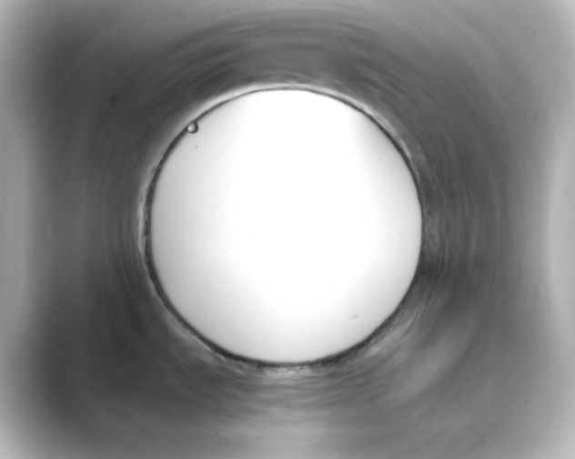 X0000088681535200706211900