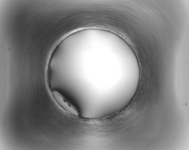 X0000088681536200706211900