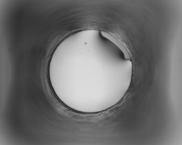 X0000088680001200706281952