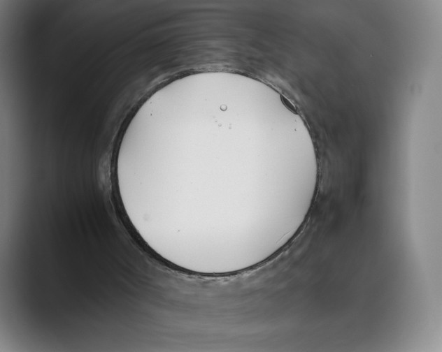 X0000088680002200706281951