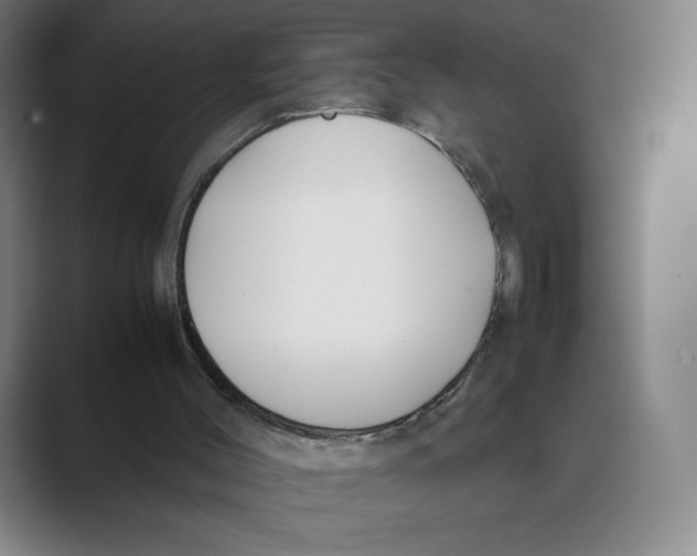 X0000088680004200706281951