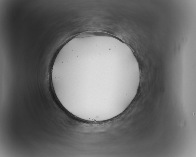 X0000088680005200706281951