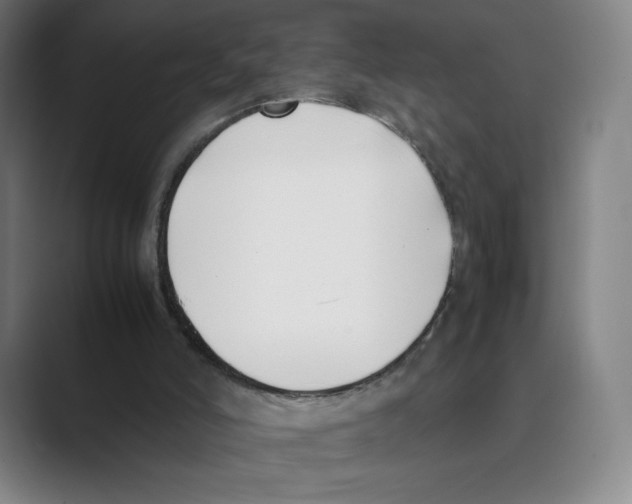 X0000088680006200706281951