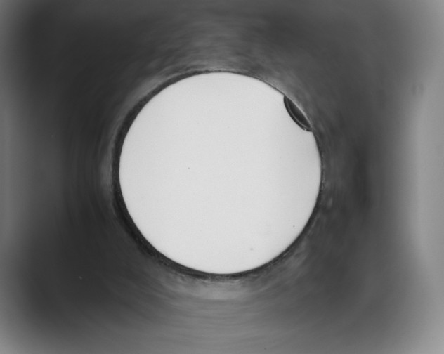 X0000088680008200706281951