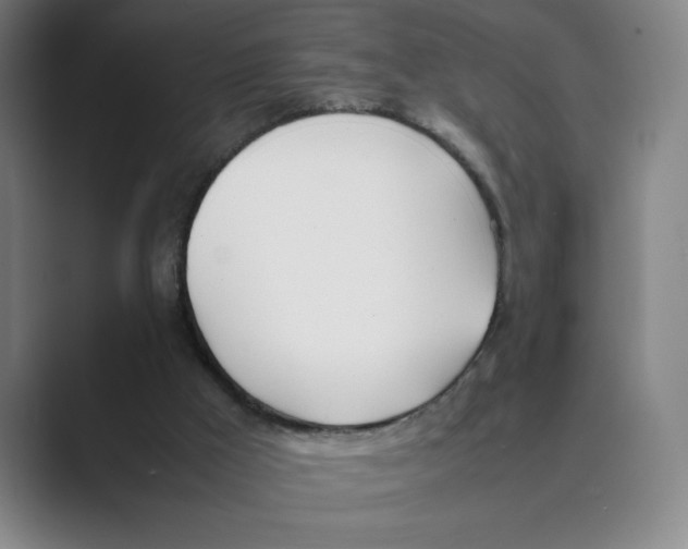 X0000088680009200706281951