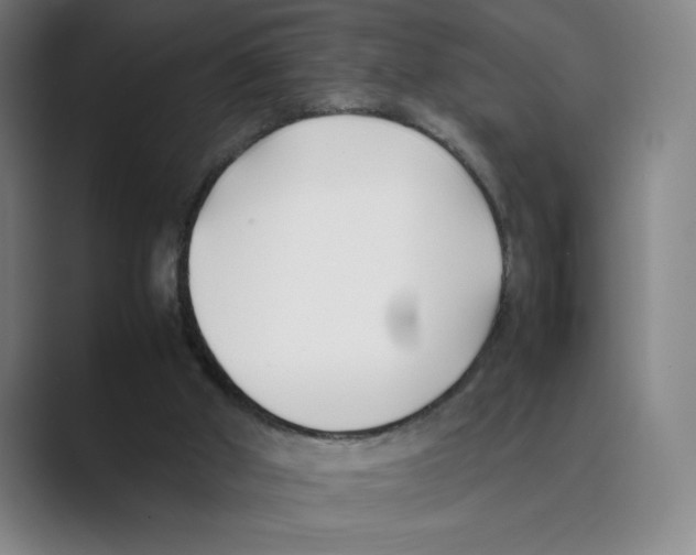 X0000088680010200706281951