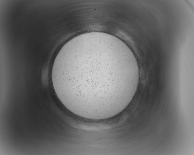 X0000088680012200706281951