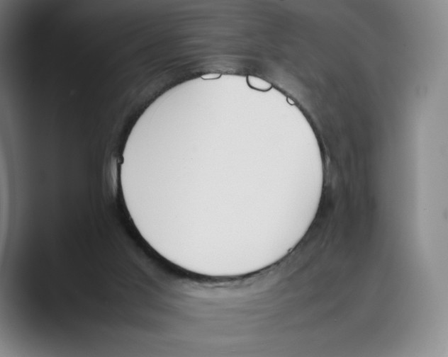 X0000088680013200706281951