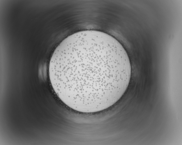 X0000088680014200706281951