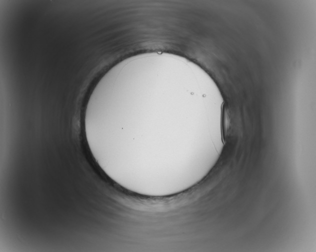 X0000088680015200706281951