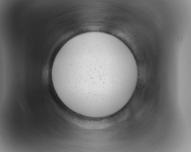 X0000088680016200706281951