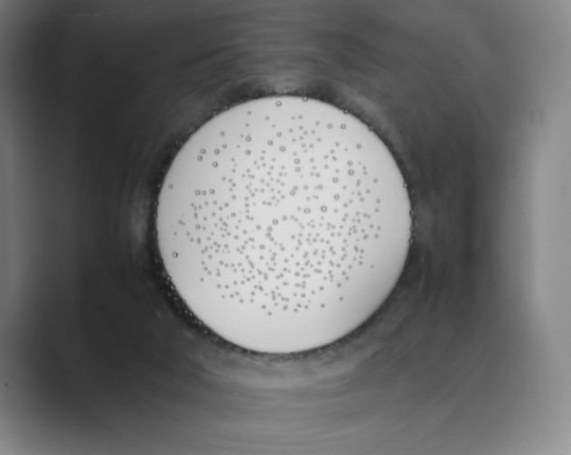 X0000088680018200706281951