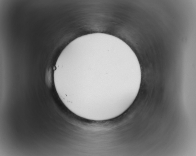 X0000088680020200706281951