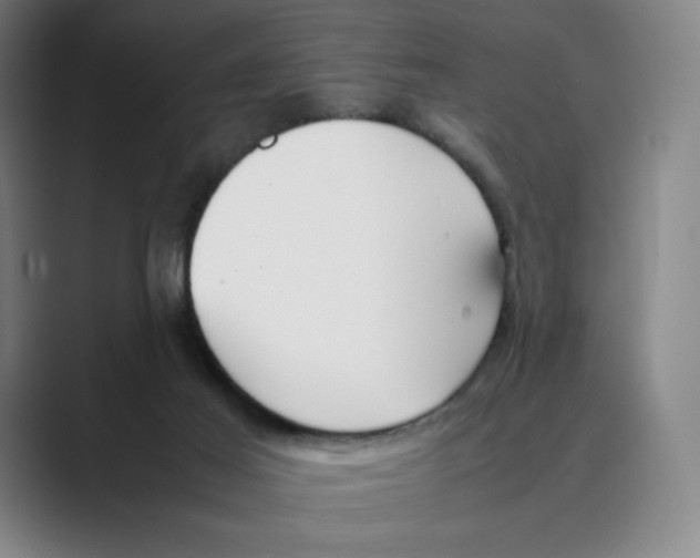 X0000088680021200706281951