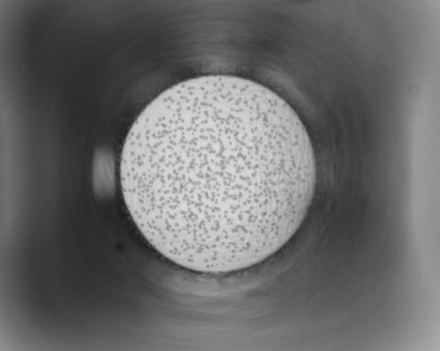 X0000088680022200706281951