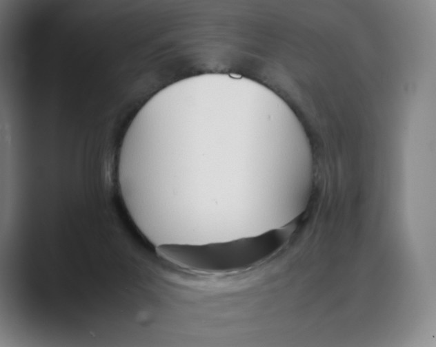 X0000088680023200706281951