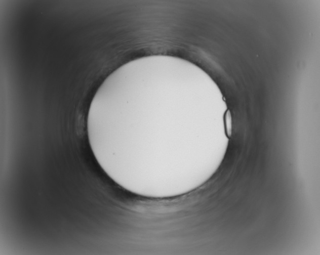 X0000088680025200706281951