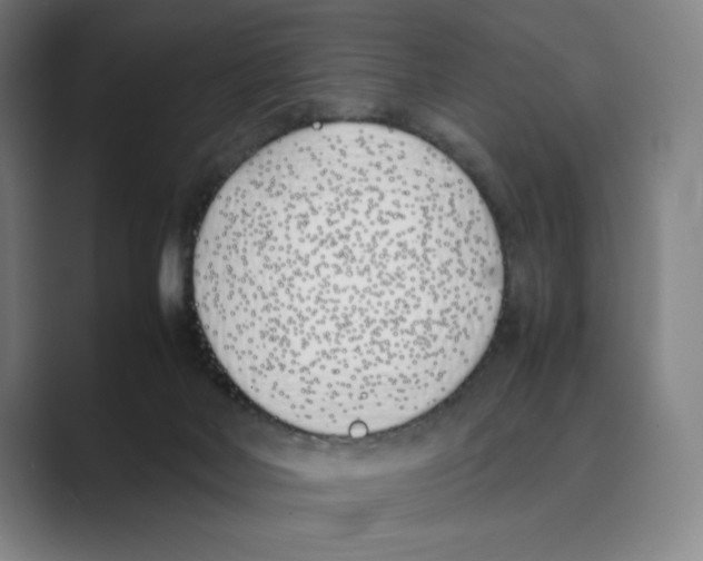 X0000088680026200706281951