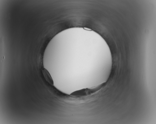 X0000088680029200706281951