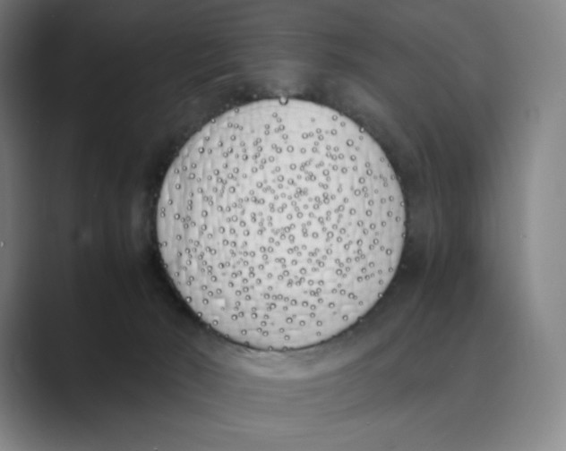 X0000088680030200706281951