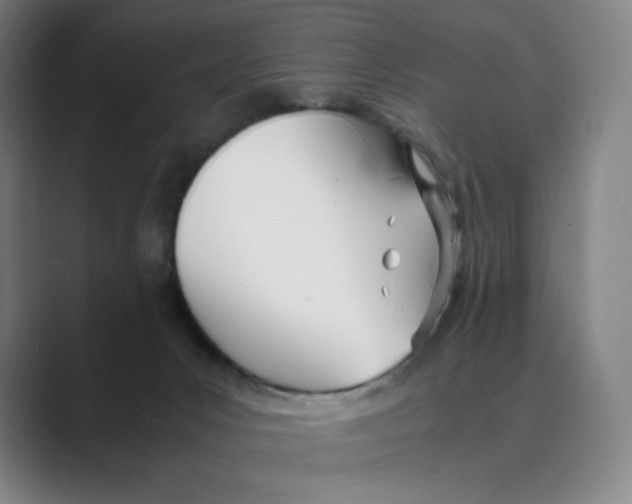 X0000088680031200706281951